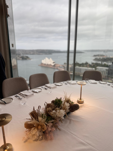 WhatsApp-Image-2025-12-17-at-8.58.34-AM-1